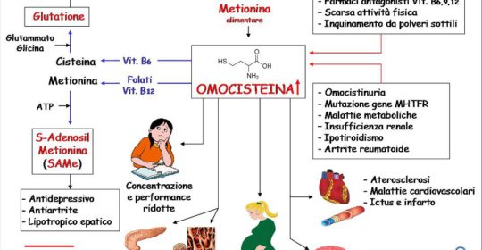 Aumento dell’omocisteina. Solo patologie vascolari?