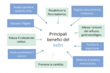 Kefir: nutrire il microbiota intestinale. La regolazione del peso corporeo e benessere