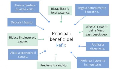 Kefir: nutrire il microbiota intestinale. La regolazione del peso corporeo e benessere