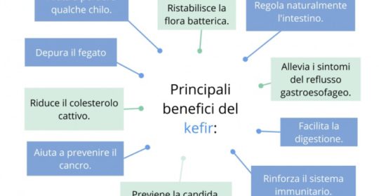 Kefir: nutrire il microbiota intestinale. La regolazione del peso corporeo e benessere