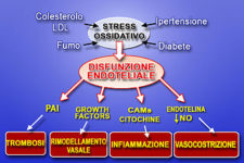 Olio extravergine di oliva e i benefici sul sistema vascolare